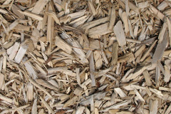 biomass boilers Whiterashes